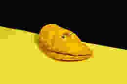 202409 Jamaica Patty Co 147 LRG